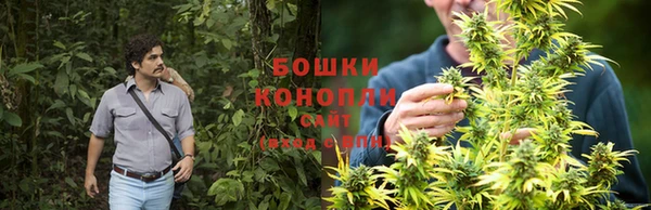 индика Верхнеуральск