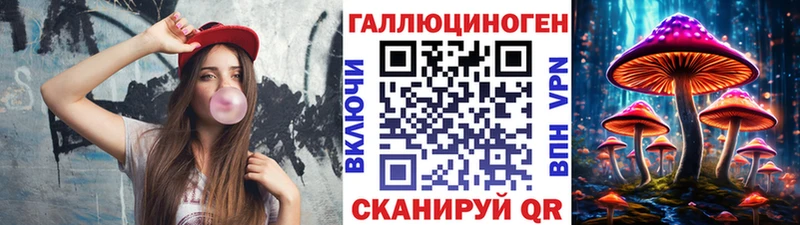 Галлюциногенные грибы Psilocybine cubensis  Камень-на-Оби 